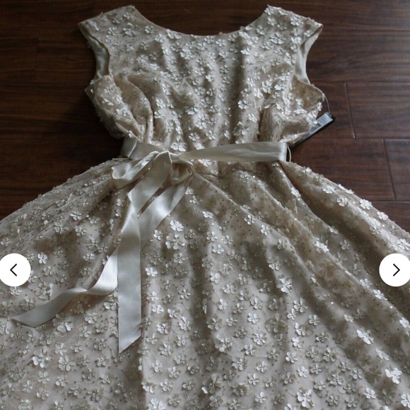 NWT Tahari Arthur S. Levine Floral Applique Gown Wedding Prom Bridesmaid Sz 14 - Picture 2 of 12